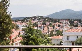 Panorama Loft Mountain View